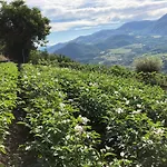 Casa Nella Natura A